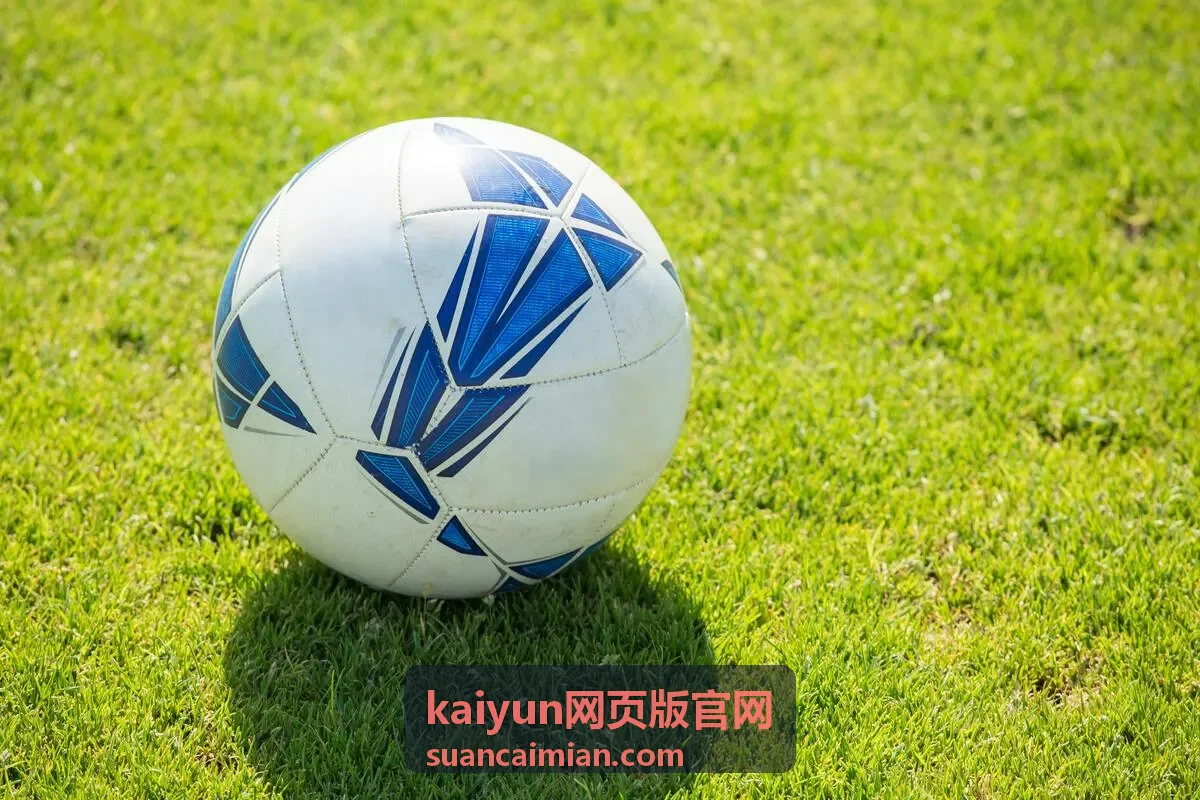 kaiyun网页版官网会员内容库浏览界面示意