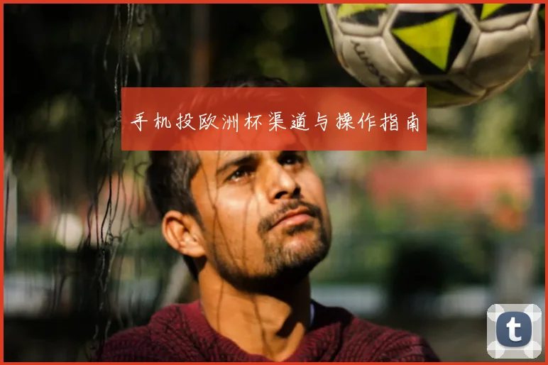 手机投欧洲杯渠道与操作指南