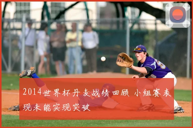 2014世界杯丹麦战绩回顾 小组赛表现未能实现突破