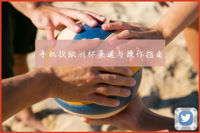 手机投欧洲杯渠道与操作指南