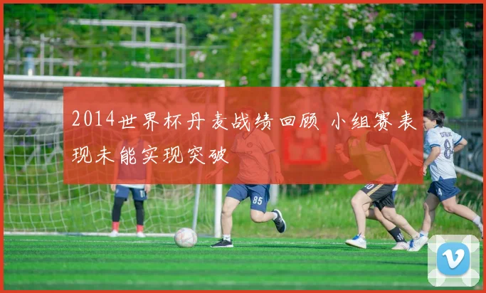 2014世界杯丹麦战绩回顾 小组赛表现未能实现突破