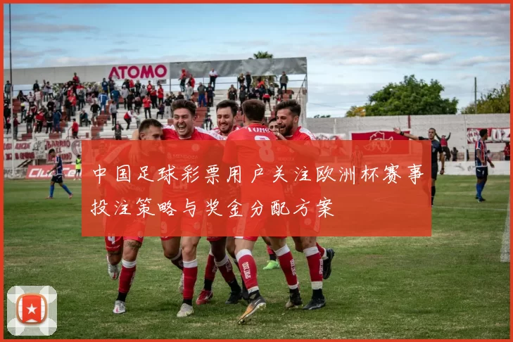中国足球彩票用户关注欧洲杯赛事投注策略与奖金分配方案