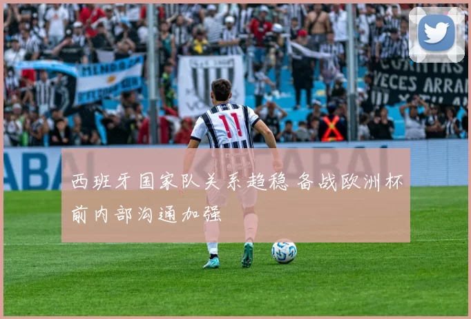 西班牙国家队关系趋稳 备战欧洲杯前内部沟通加强