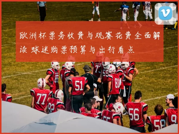 欧洲杯票务收费与观赛花费全面解读 球迷购票预算与出行看点